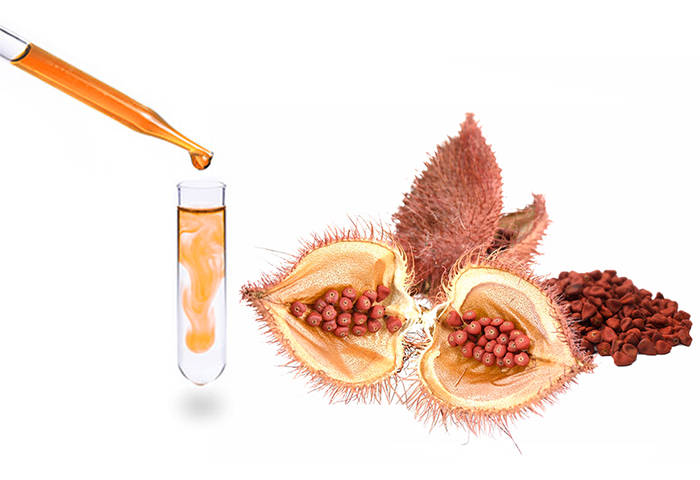 coloring with annatto seeds, bixin, norbixin, natural color, natural food colorants, bioconcolors