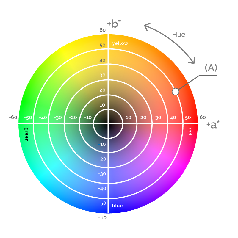 Natural colors for food, beverages and cosmetics | BioconColors