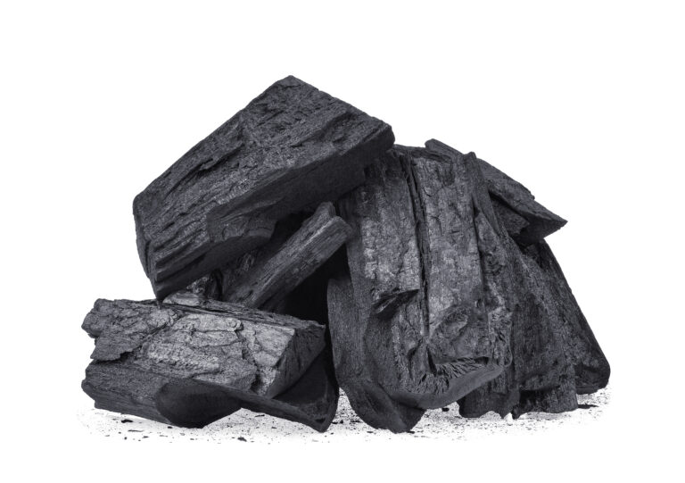 BioconColors vegetable carbon powder, a high-purity pigment for black natural colorants.