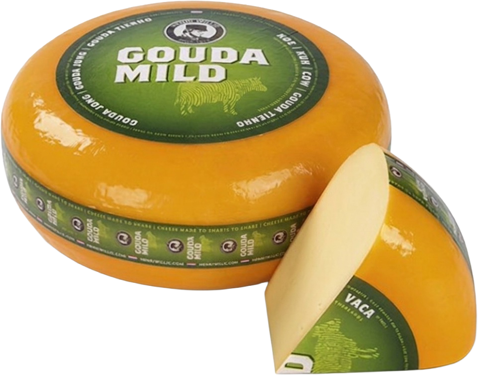 A wedge of gourmet cheese featuring a uniform golden-orange hue achieved with BioconColors natural Annatto colorants, displayed on a clean background.