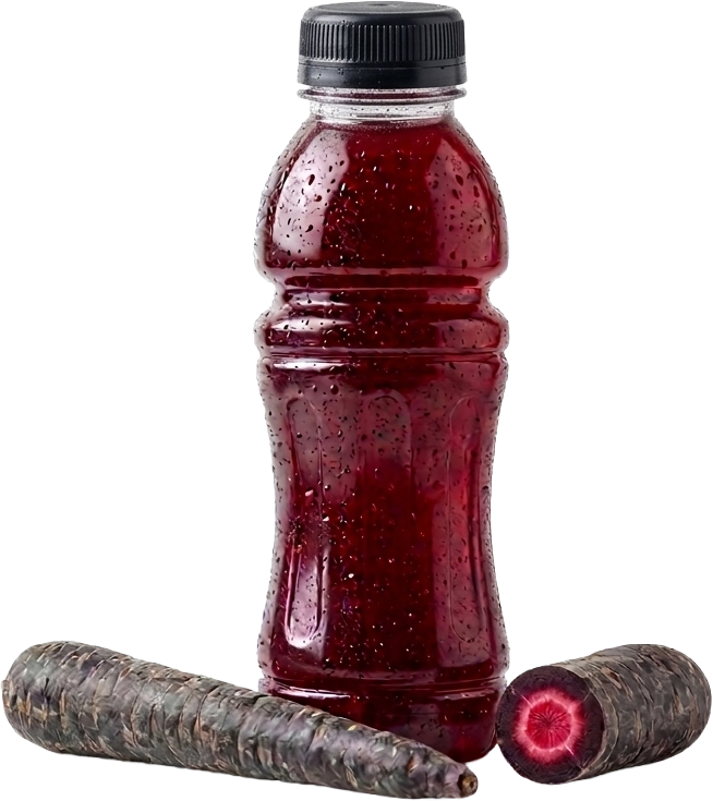 A sleek bottle of energy drink with a deep bordeaux red hue, displayed next to a fresh black carrot, showcasing BioconColors natural colorant solutions for functional beverages.